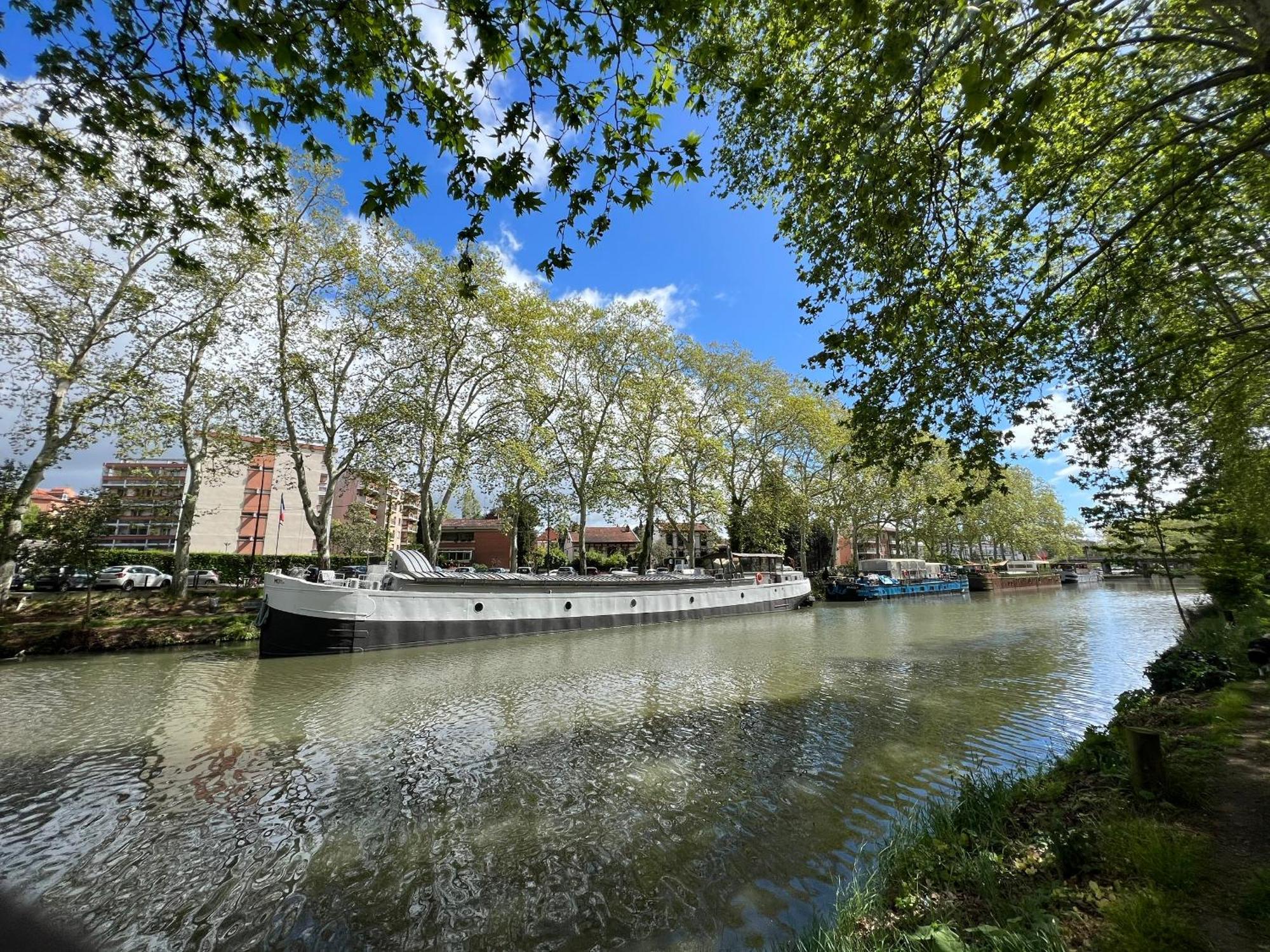 Sunset Duplex - Grand-Rond, Jardin Des Plantes, Centre-Ville, 2 Bdrs 60M2, Ac, Free Public Car Park 200M Away, Netflix - T3 60M2 Avec Clim, Parking Public Gratuit A 200M Toulouse Buitenkant foto